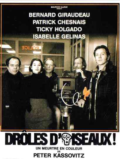 Drôles doiseaux Poster