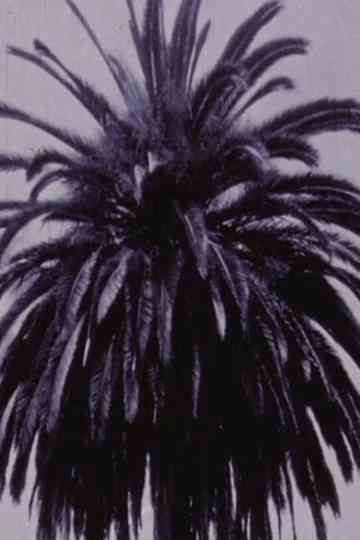 SelfPortrait As A City Poster