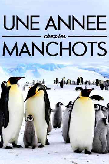 A Year With the Penguins Poster