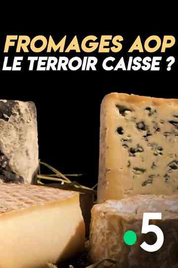 Fromages AOP  le terroir caisse  Poster