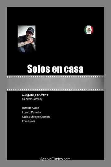 Solos en casa Poster