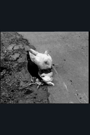 The Delmarva Chicken of Tomorrow Poster