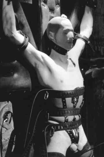 Tops  Bottoms Poster