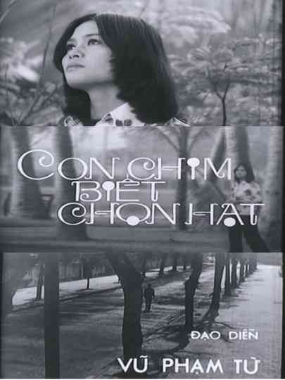 Con Chim Biết Chọn Hạt Poster