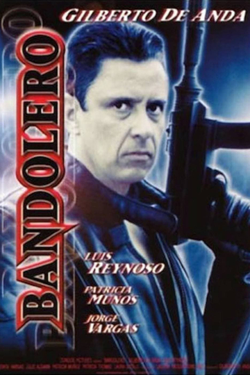 Bandolero Poster