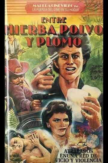 Entre hierba polvo y plomo