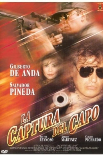 La captura del capo Poster