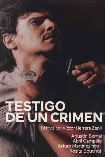 Testigo de un crimen Poster