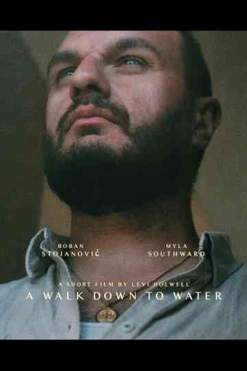 A Walk Down to Water Poster