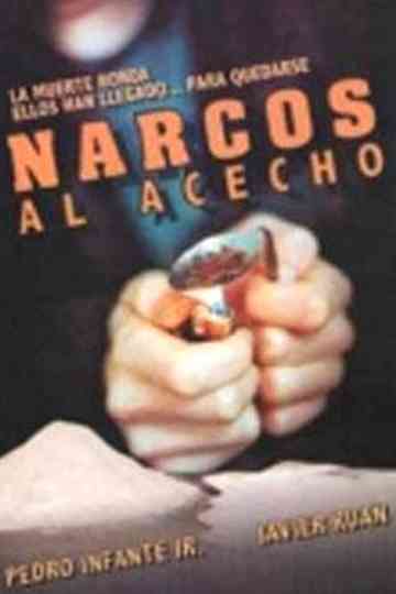 Narcos al acecho poster