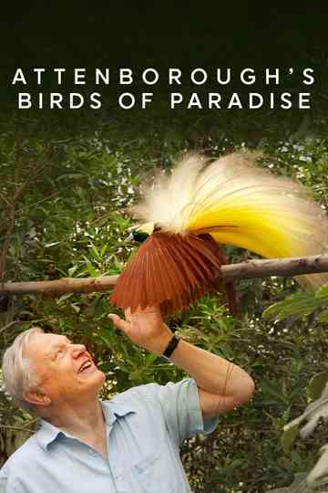 Birds of Paradise Poster