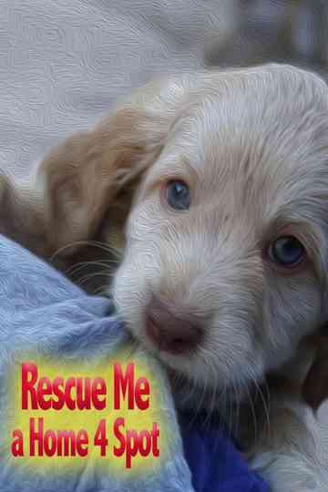 Rescue Me A Home 4 Spot Poster