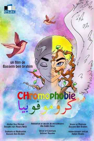 Chromophobia poster