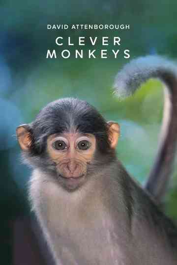 Clever Monkeys Poster