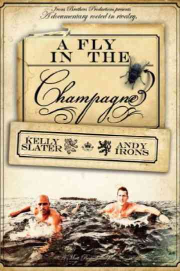 A Fly in the Champagne Poster