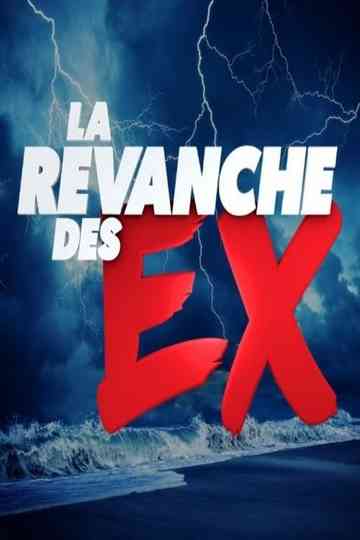 La Revanche des Ex Poster