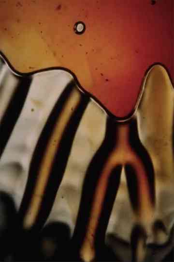 Flicker  Light Show  Collage Poster