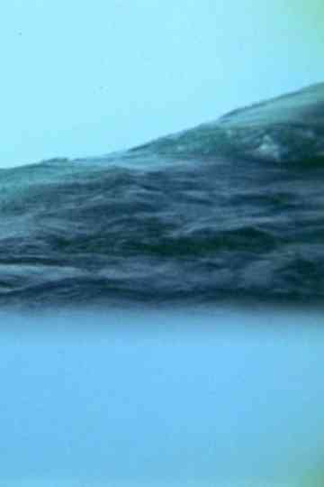 Translucent Appearances Poster