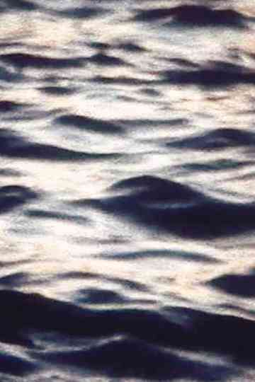 Bleierne Wellen Poster