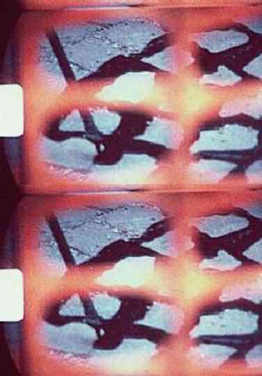 Pflasterzeichen Poster