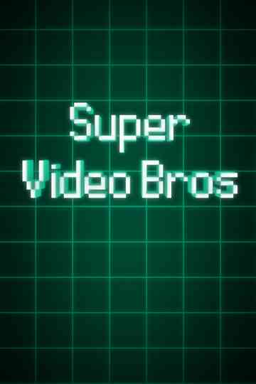 Super Video Bros Poster