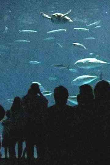 Modern Navigation Poster