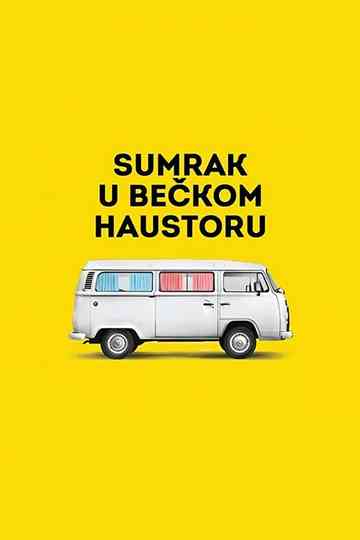 Vienna Hallways Poster