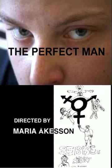 The Perfect Man Poster