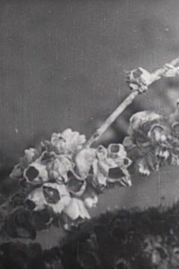 One day at the Tidelands