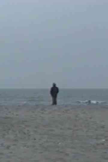 L'Arbre et le Soleil Poster