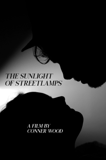 The Sunlight of Streetlamps Poster