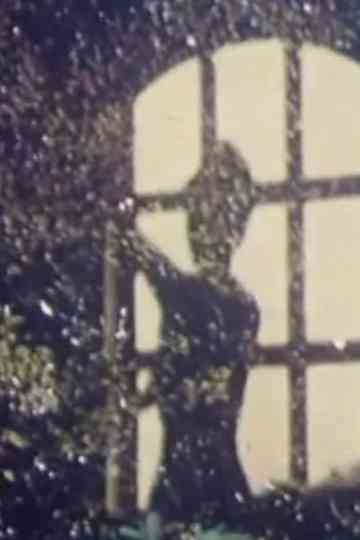 The Portrait of Cordua Poster