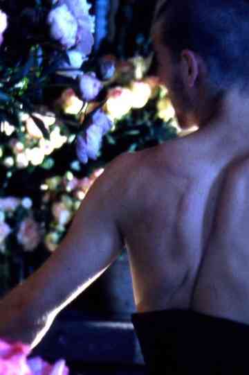 Quelques fleurs pour un chant damour Poster