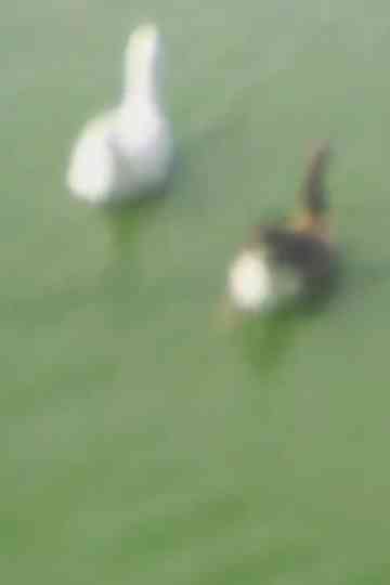 Létat de notre urgence 4 Poster