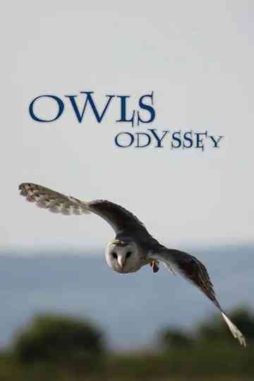 Owl's Odyssey Poster