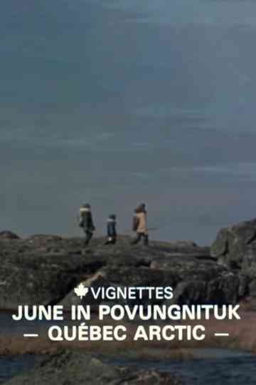 Canada Vignettes June in Povungnituk  Quebec Arctic Poster