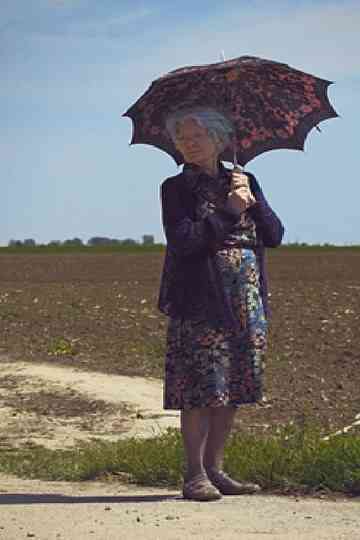 Granny Wants to Go Home Poster