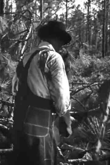 Men Of The Forest Poster