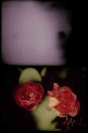 The Person of Whom I Think Poster