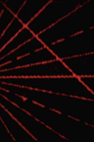 noonwraith blues Poster