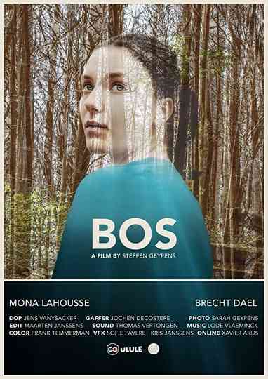 Bos Poster