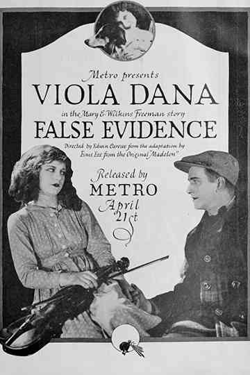False Evidence Poster
