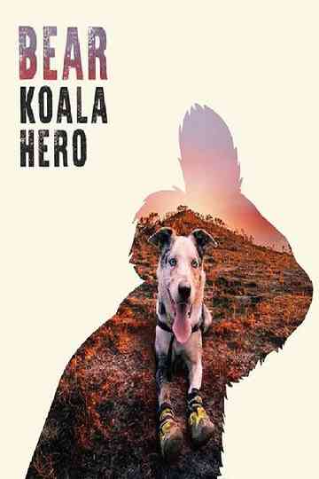 Bear Koala Hero Poster