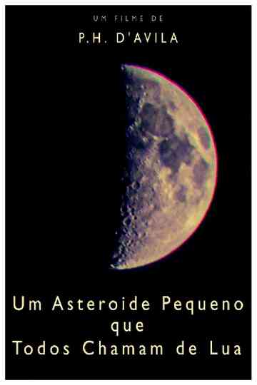 A Little Asteroid Called Moon Poster