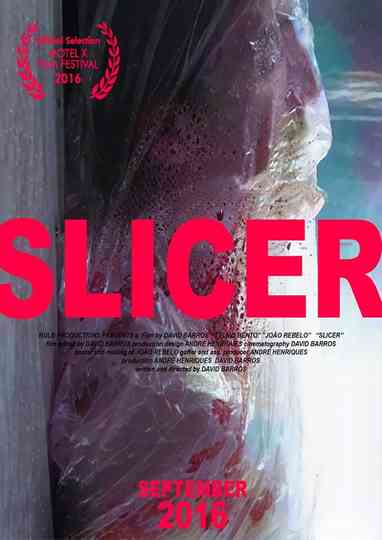 Slicer Poster