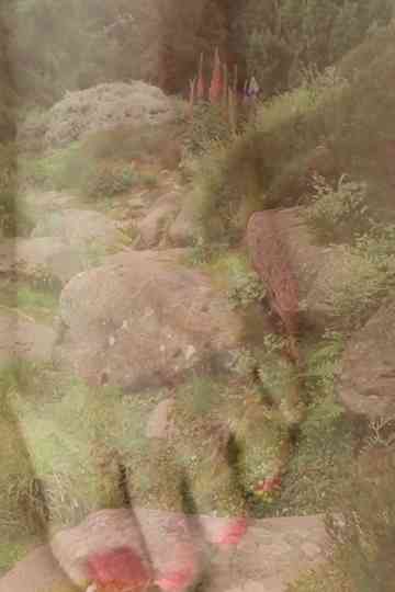 put the goat in the goat boat Poster