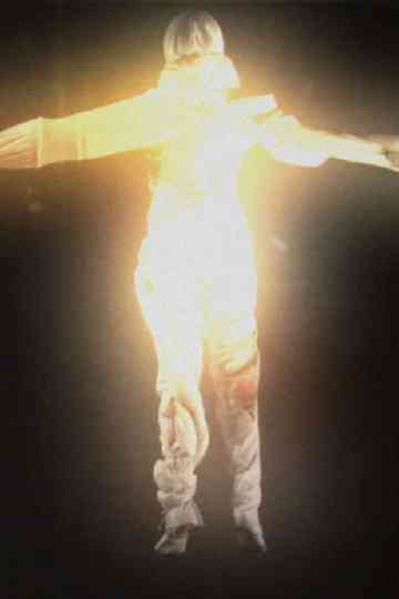 Fight or Flight Poster