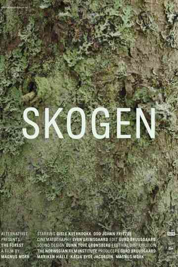 Skogen Poster