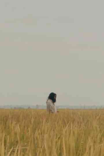 The Lost Piece