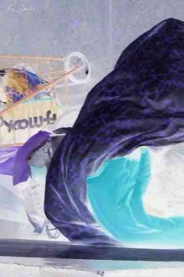 Sleeping American Poster